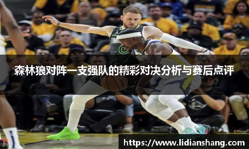 森林狼对阵一支强队的精彩对决分析与赛后点评